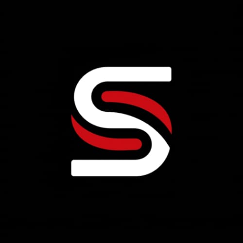 Logo Seiji 3D